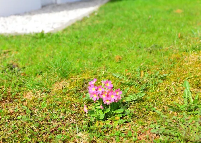 On Zugspitzstrasse *