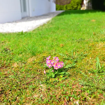 On Zugspitzstrasse *